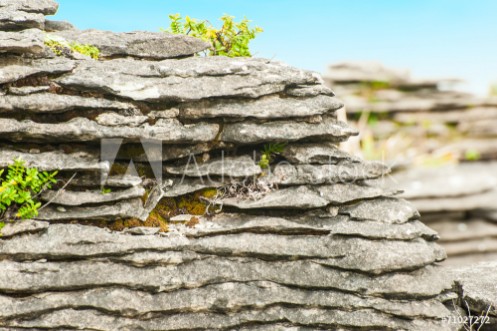 Picture of Pancake rock